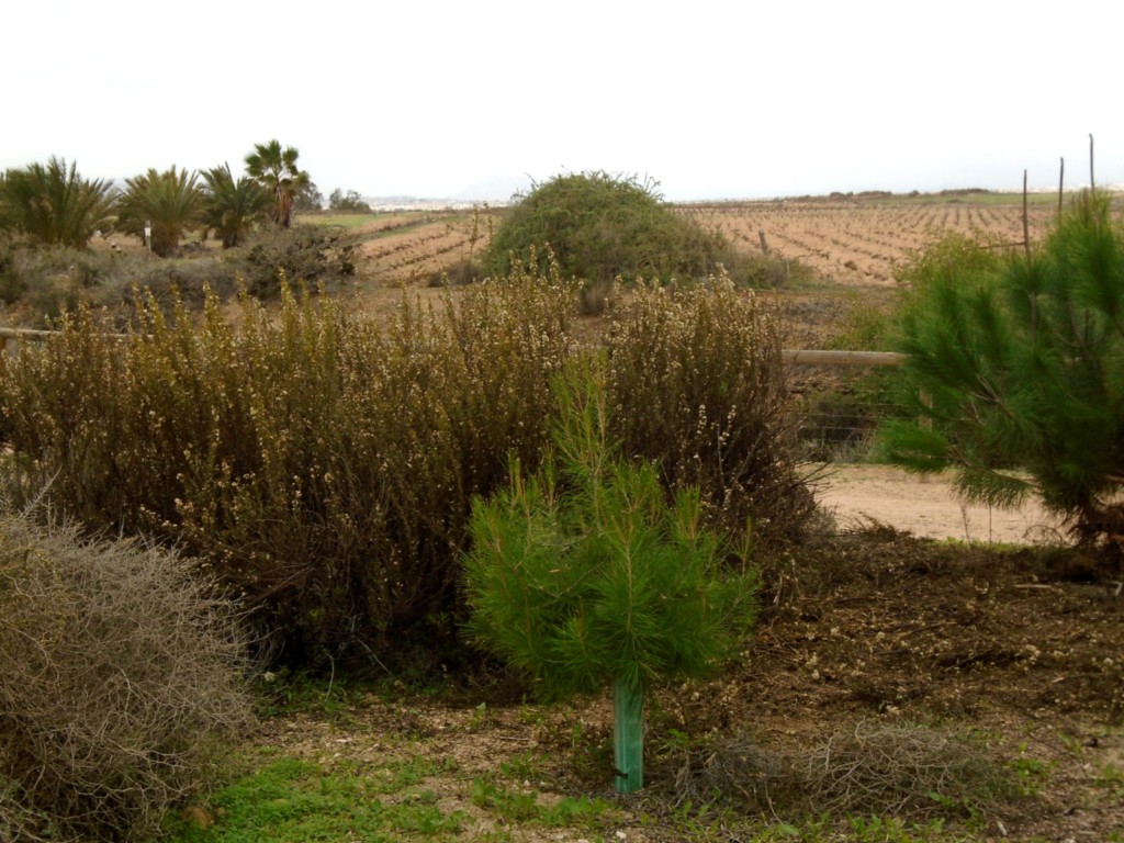 Parc Naturel de La Mata