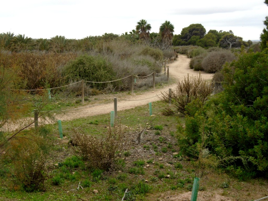 Parc Naturel de La Mata