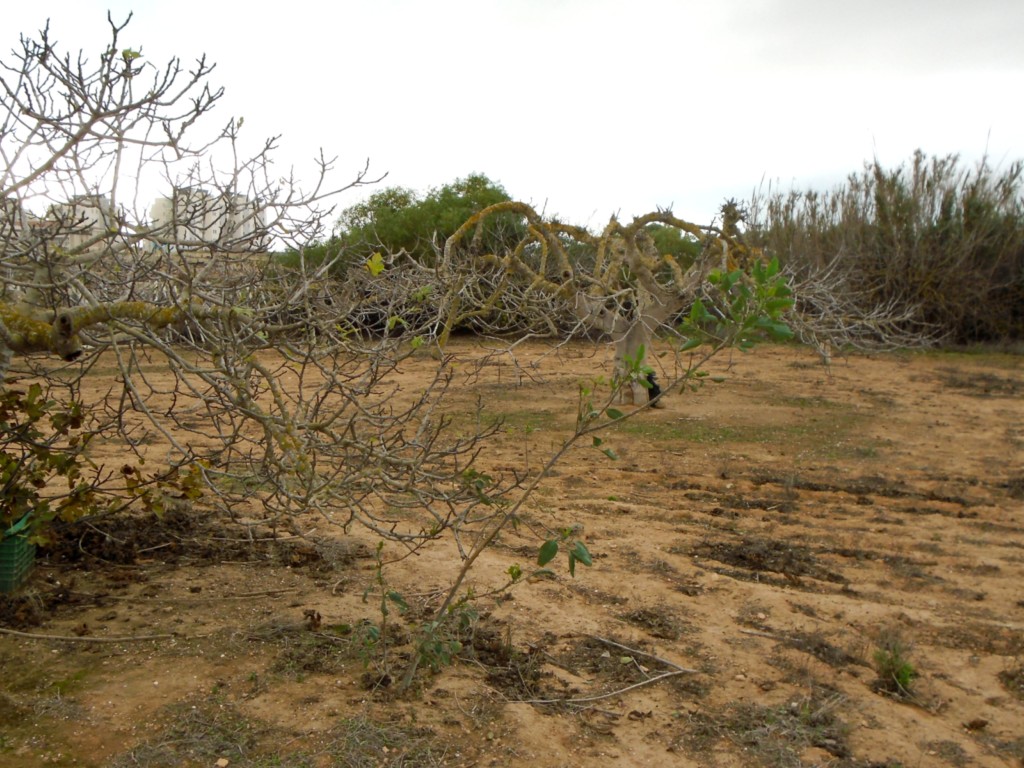 Parc Naturel de La Mata