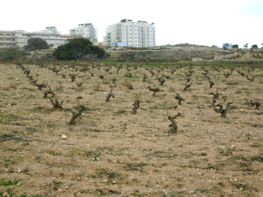 Parc Naturel de La Mata