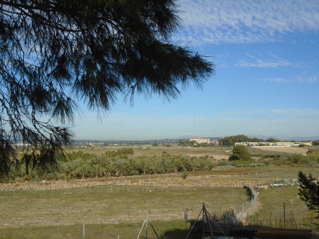 Parque Natural de Las Lagunas de la Mata